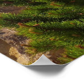 Poster Grand Canyon de Yellowstone (Coin)
