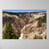 Poster Grand Canyon de Yellowstone (Devant)