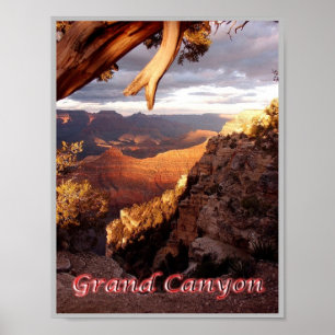 Poster Grand Canyon - Panorama - United States -
