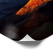 Poster Grand Canyon South Rim (Coin)