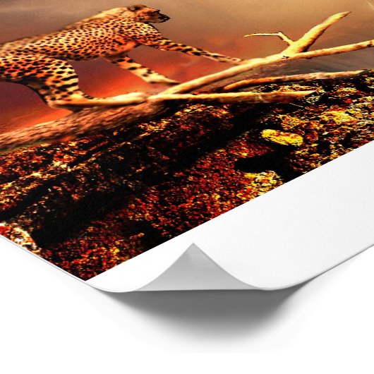 POSTER GRAND CHAT (Coin)