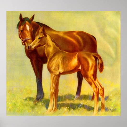 Poster grand cheval petit cheval (Devant)