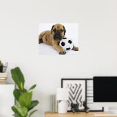 Poster Grand chiot Dane avec jouet balle de football (Bureau à domicile)