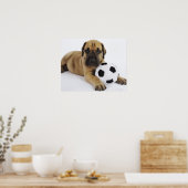 Poster Grand chiot Dane avec jouet balle de football (Cuisine)