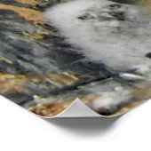 Poster Grand-Chouette à cornes (Coin)