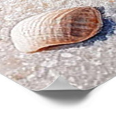 Poster Grand coquillage sur une plage de sable immaculé (Coin)