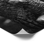 Poster Grand Corbeau (Coin)