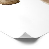 Poster Grand corne Portrait ovin noir blanc (Coin)