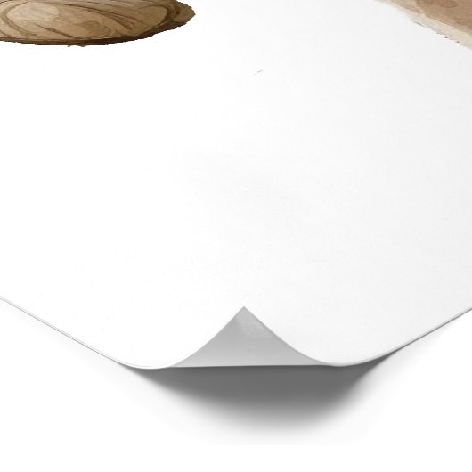 Poster Grand corne Portrait ovin noir blanc (Coin)