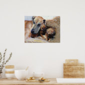 Poster Grand Dane Portrait de chien (Cuisine)