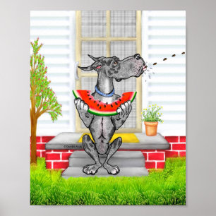Poster Grand Danois CRACHE Merle