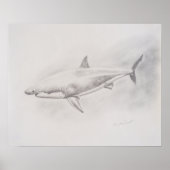 Poster Grand dessin de requin blanc (Devant)