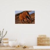 Poster Grand éléphant rouge (Cuisine)