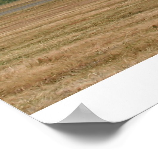 Poster Grand Finale ! (Coin)