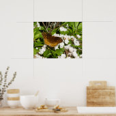 Poster Grand Fritillaire en éperon sur le Laurel de monta (Cuisine)