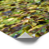 Poster Grand héron bleu (Coin)