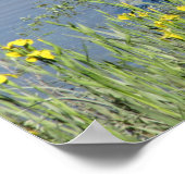 Poster Grand Héron Bleu à River. (Coin)