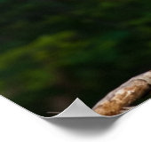 Poster Grand Héron bleu Art mur (Coin)