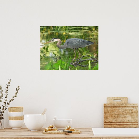 Poster Grand Héron Bleu Dans l'étang (Cuisine)