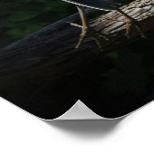 Poster Grand Héron bleu en vol (Coin)