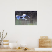 Poster Grand Héron Bleu en Vol (Cuisine)