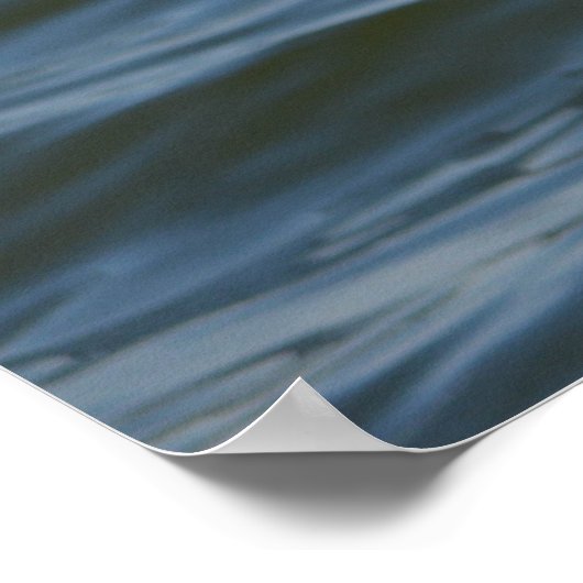 Poster Grand Héron Bleu gros plan (Coin)