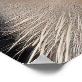 Poster Grand Héron Bleu gros plan (Coin)