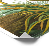 Poster Grand héron bleu par John James Audubon (Coin)