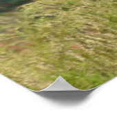 Poster Grand Kudu (Coin)