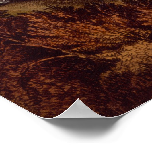 Poster Grand lac de sel, Utah (Coin)