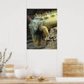 Poster Grand mâle Iguana sp. (Cuisine)