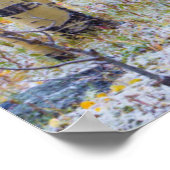 Poster Grand Mesa cabine solitaire dans une forêt (Coin)