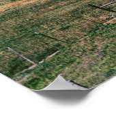 Poster Grand Mesa, Colorado en automne (Coin)