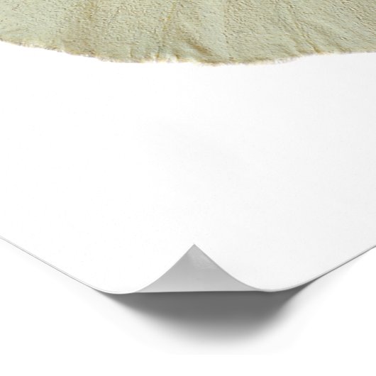 Poster Grand papillon blanc isolé (Coin)