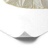 Poster Grand papillon blanc isolé PNG (Coin)