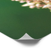 Poster Grand Papillon Fritillaire Spangé (Coin)