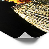 Poster Grand perroquet orange et Turquoise sur une souche (Coin)