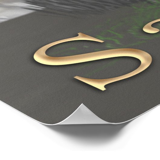 Poster grand pied (Coin)