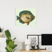 Poster Grand Poisson Coloré (Bureau à domicile)