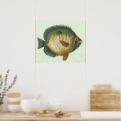 Poster Grand Poisson Coloré (Cuisine)