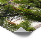 Poster Grand Prismatic Overlook (Coin)