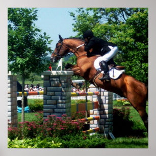 Poster Grand Prix Horse