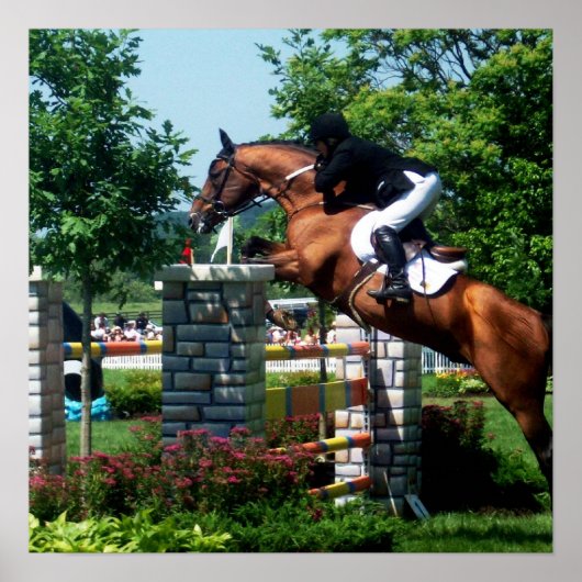 Poster Grand Prix Horse (Voorkant)