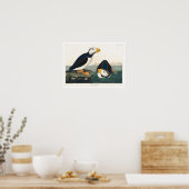 Poster Grand Puffin facturé par Audubon (Cuisine)