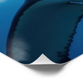 Poster Grand requin blanc (Coin)