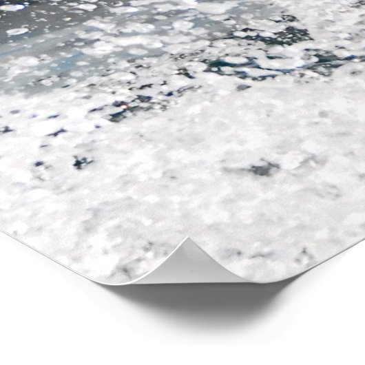 Poster Grand requin blanc (Coin)