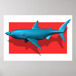Poster Grand requin blanc