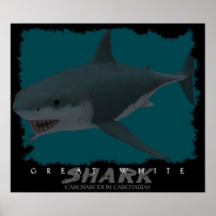 Super grand requin blanc Figure Modèle Animal Jouet Carcharodon Carcharias collector