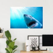 Poster Grand requin blanc | Afrique du Sud (Bureau à domicile)