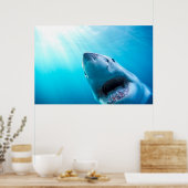 Poster Grand requin blanc | Afrique du Sud (Cuisine)